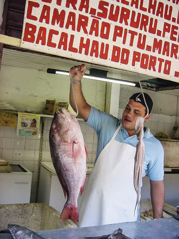 Detail of a façade of a stall in the Madalena Market, Recife-PE [2008].